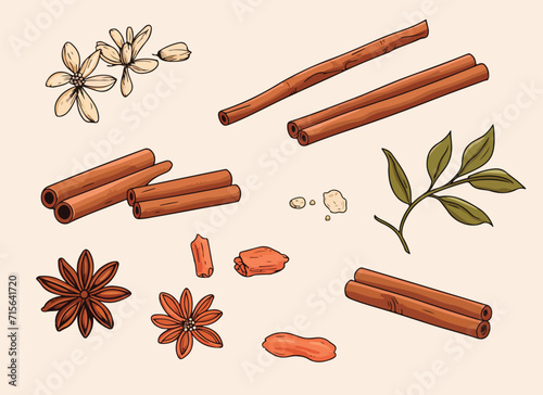cinnamon vector design illustration isolated on white background
