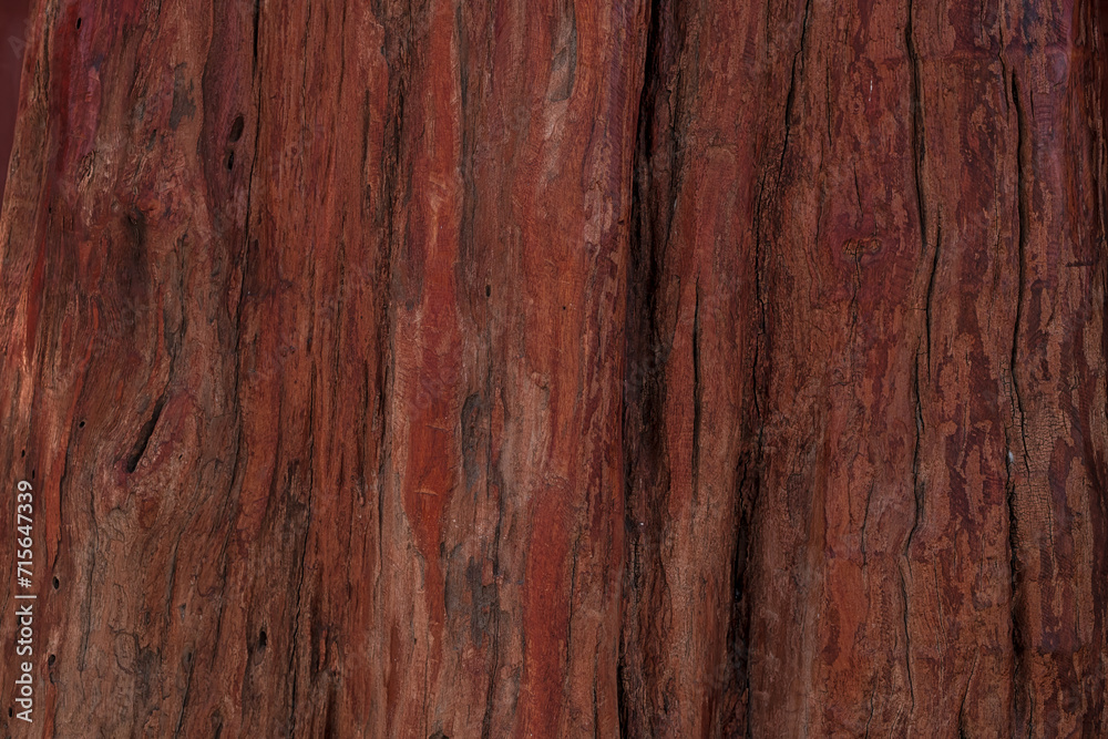 Close up wood texture background