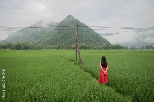 asian girl in red dress walking in rice field near karts mountains in Vietnam photo