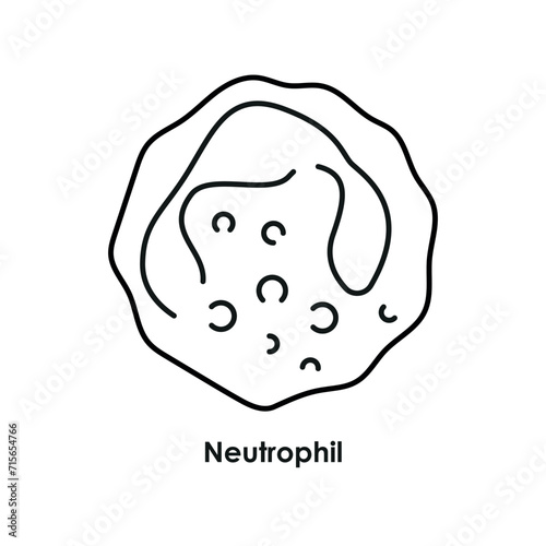 Neutrophil color icon. White blood cells in the blood vessels.