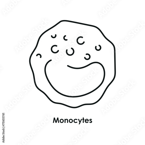 Monocytes color icon. White blood cells in the blood vessels.