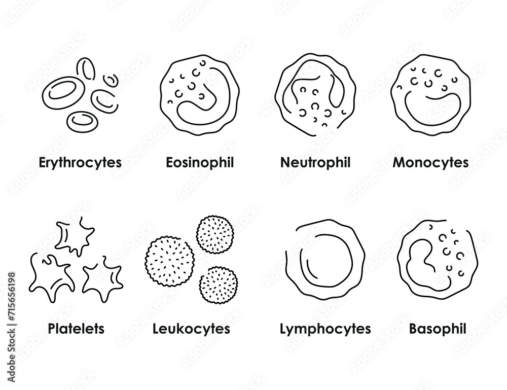Blood cells color icons set. White blood cells, erythrocytes, platelets
