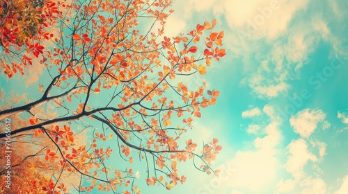 Colorful foliage in the autumn park  Autumn leaves sky background  Autumn Trees Leaves in vintage color