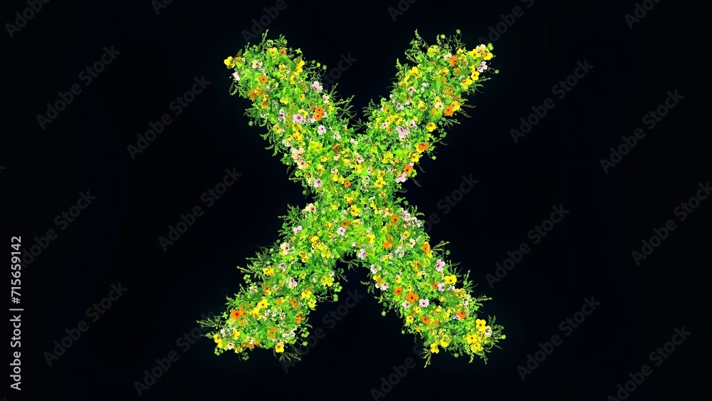 Beautiful illustration of English alphabet X with green grass and colorful flowers on plain black background Beautiful illustration of English alphabet X with green grass and colorful flowers on plain black background