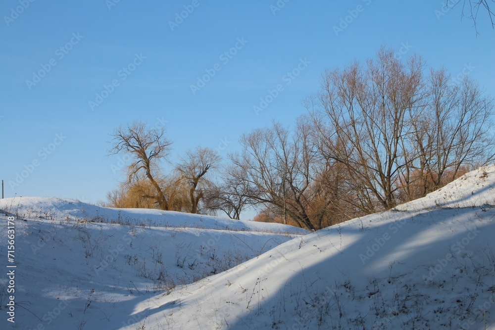 Obraz premium A snowy landscape with trees