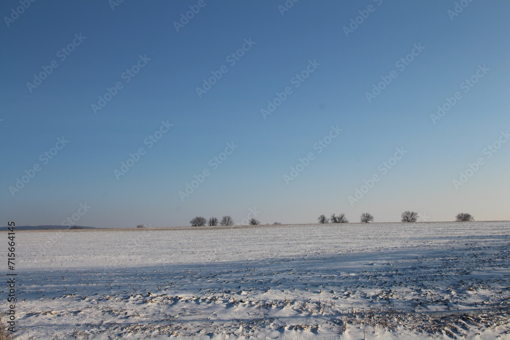 A snowy field with trees in the background