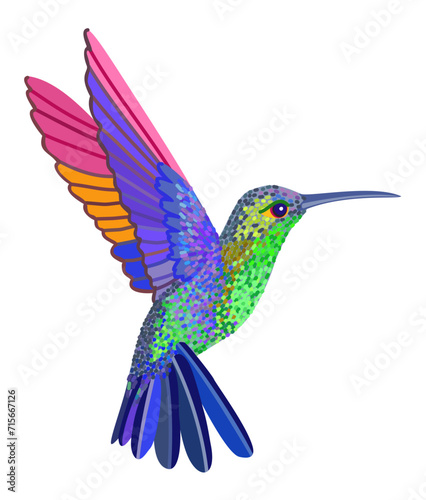 Hummingbird. Exotic small bird. Bright vector isolated illustration.