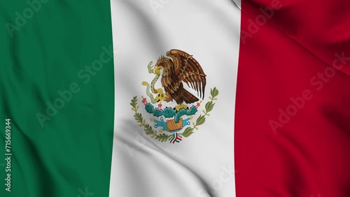 Mxico flag seamless loop animation. The National flag of Mexico 4k High Resolution. photo