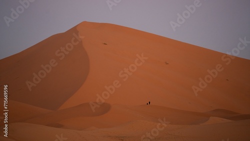 Big dune during the blue hour in desert