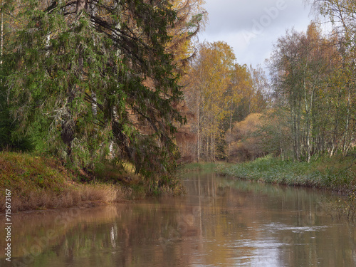 Haukkavuori  nature park in Kerava  Finland  mid-autumn  forest landscape with river.