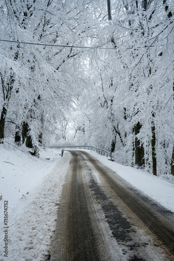 A winter idyll on a mountain near Belgrade A winter idyll on a mountain near Belgrade