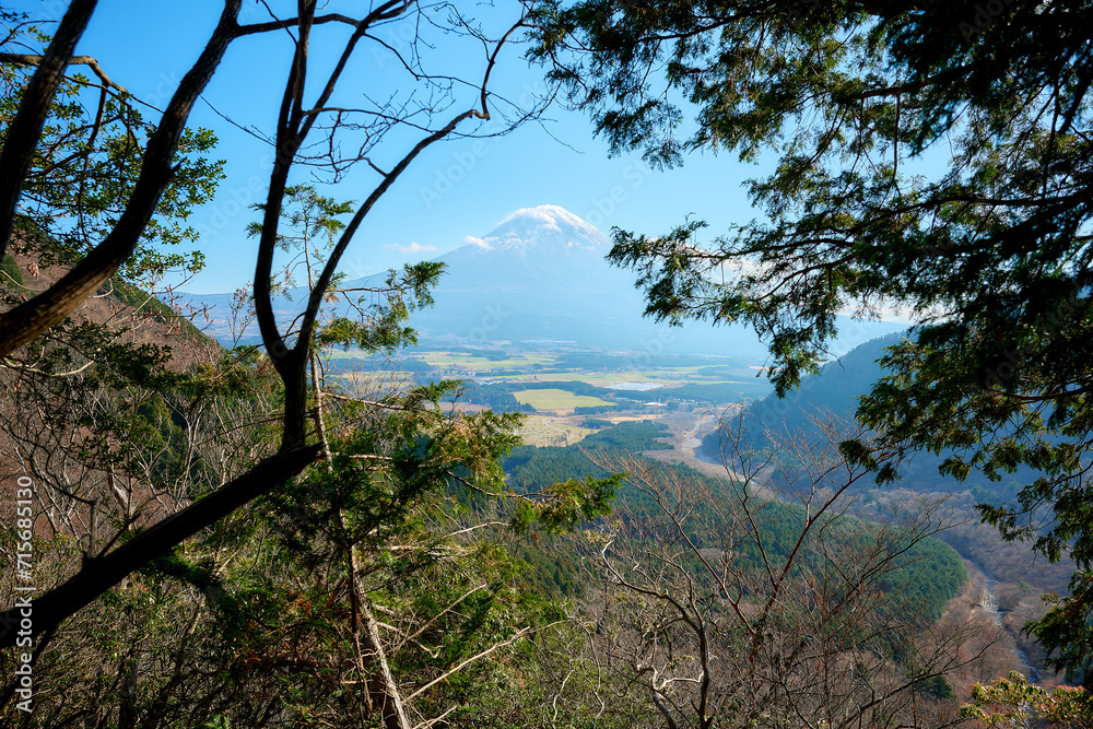 毛無山の登山道から見える富士山