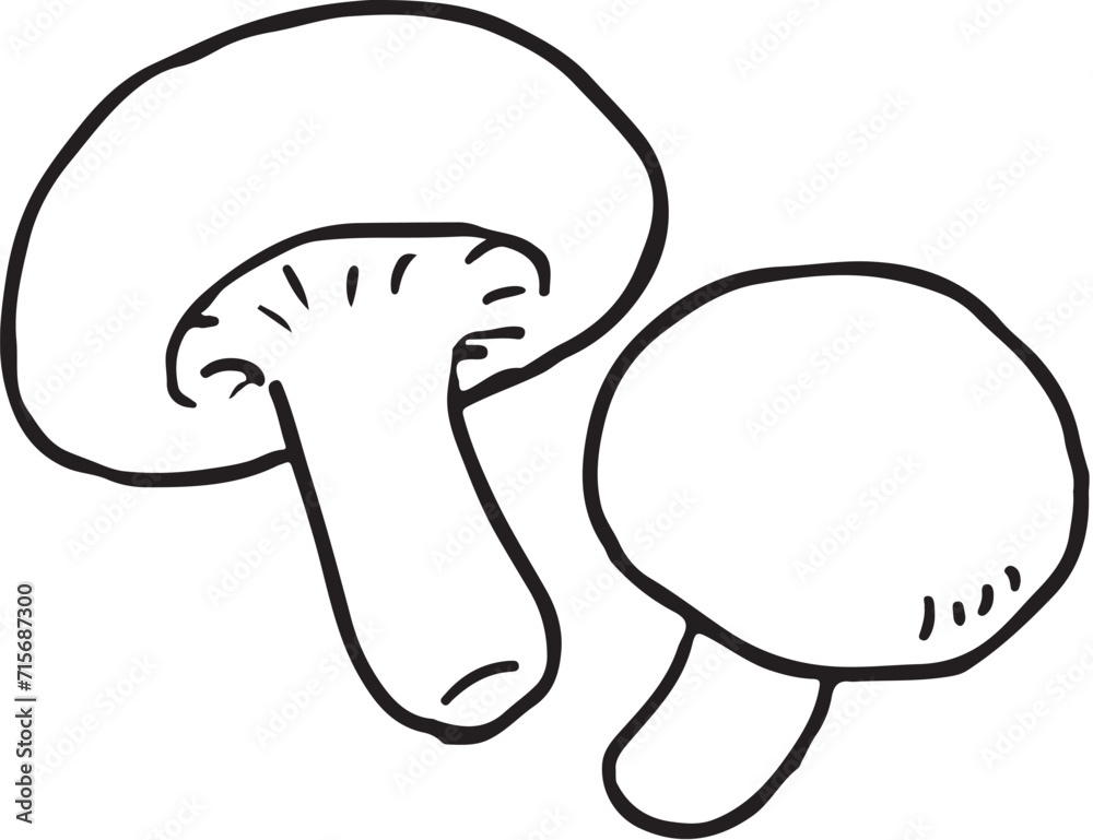 しいたけ線画 しいたけ線画