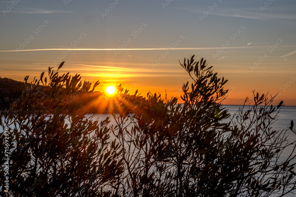 Paysage dans la nature en bord de mer au lever de soleil sur le Cap Ferrat