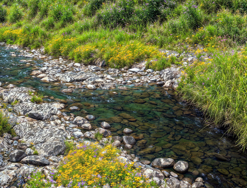 Serene Mountain Stream with Rocky Bed