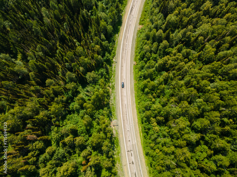 Aerial top view asphalt road in a pine green forest on a sunny day. Nature reserve, ecopark. Nature background. Photo from the drone.