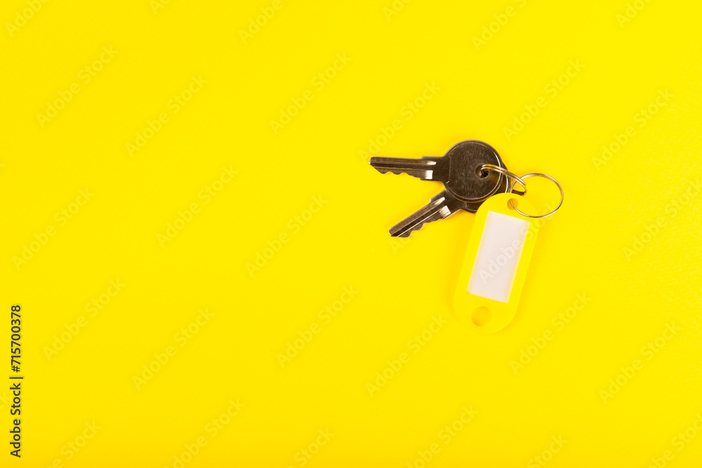 Plastic key ring in different colors with a place for a signature on a bright colored background. Bunch of keys with keychain. Mock-up keychain.Copy space.Concept for renting and selling real estate. - obrazy, fototapety, plakaty 