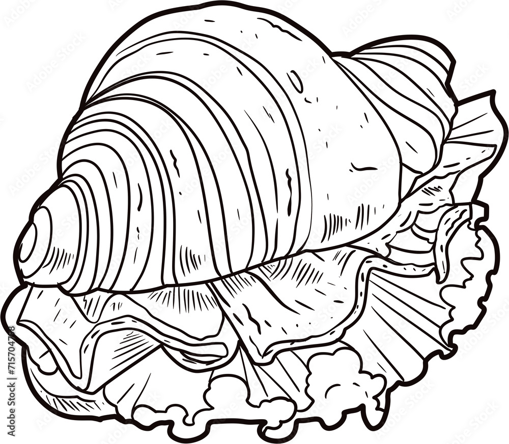 croissant croissant