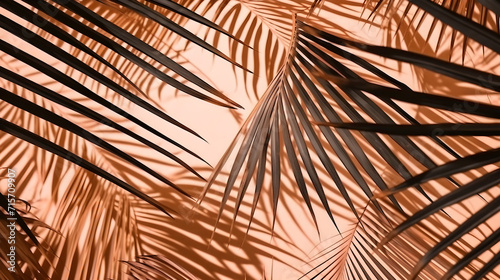 Peach fuzz color palm tree leaves shades on beach sand, tropical summer vibe background.
