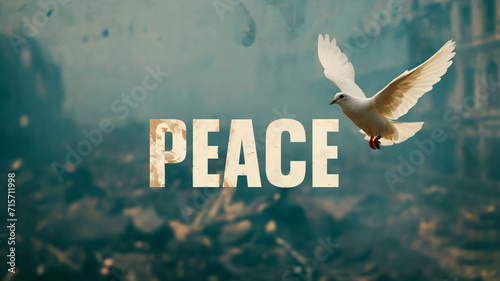 Paloma blanca como símbolo de la paz  photo