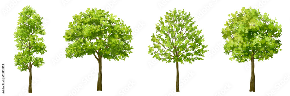 Vector watercolor green tree or forest side view isolated on white background for landscape and architecture drawing,elements for environment or garden,botanical element for exterior section in spring