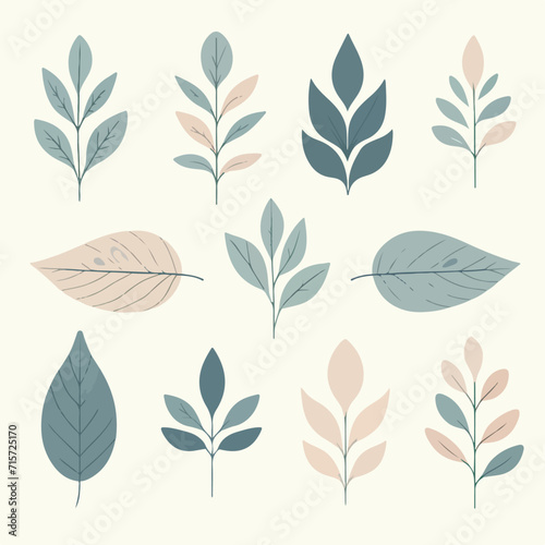 vector logo collection of leaves with elegant shapes and calm colors. flat cartoon design that is simple and minimalist