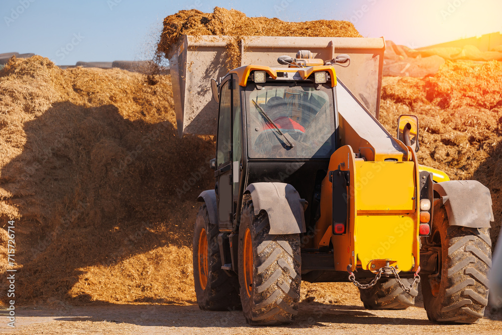 Tractor unloading silage on farm, Fermented feed for food of cow. Compacting silo from fresh harvest chopped maize Tractor unloading silage on farm, Fermented feed for food of cow. Compacting silo from fresh harvest chopped maize