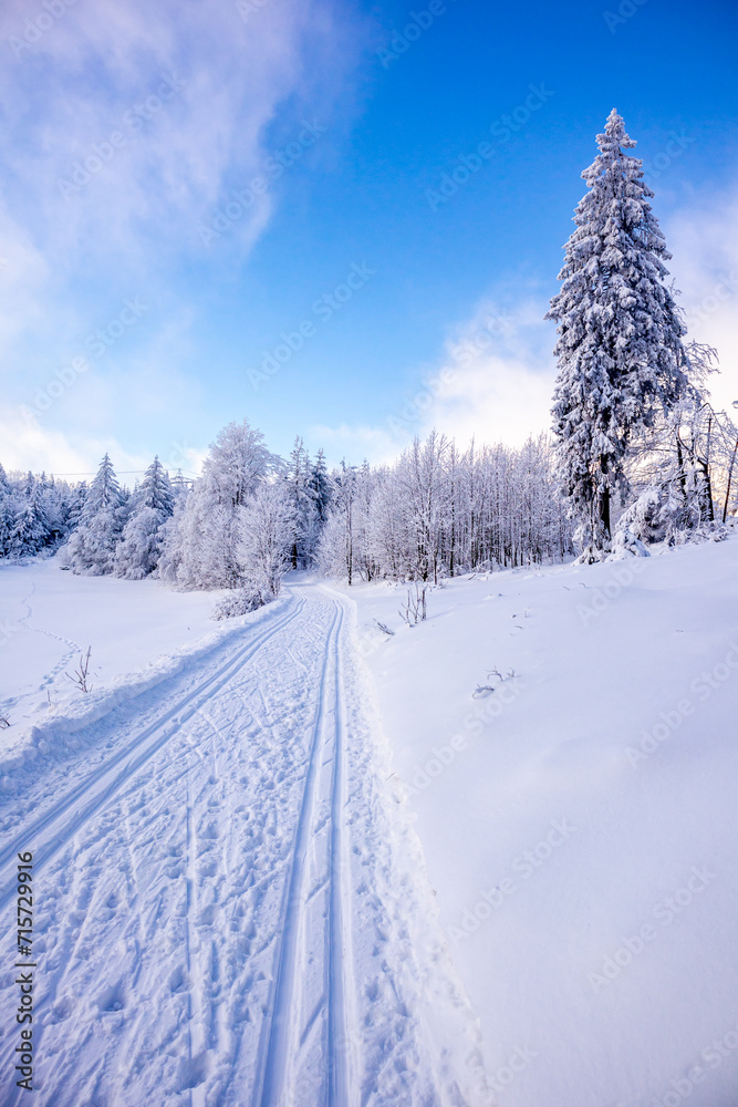 Obraz premium Langlaufrunde bei bestem Kaiserwetter im verschneiten Thüringer Wald bei Floh-Seligenthal - Thüringen - Deutschland