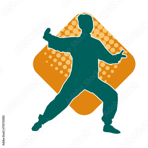 Silhouette of a slim female doing martial art pose. Silhouette of a martial art woman in action pose.