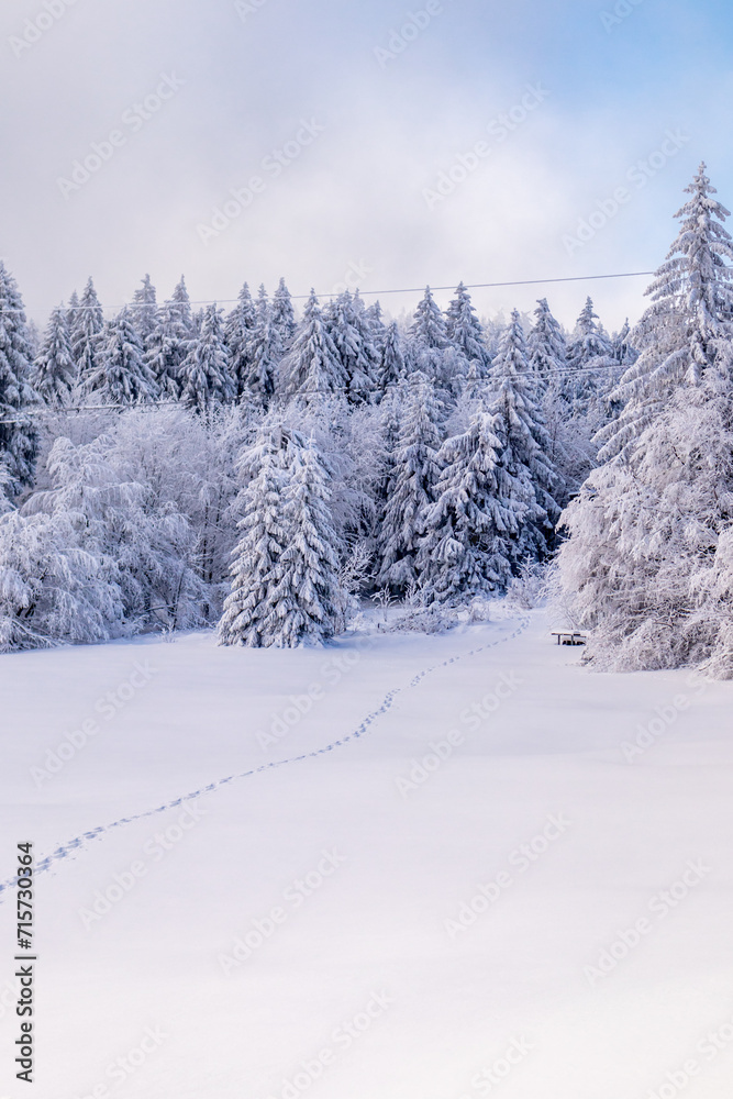 Langlaufrunde bei bestem Kaiserwetter im verschneiten Thüringer Wald bei Floh-Seligenthal - Thüringen - Deutschland