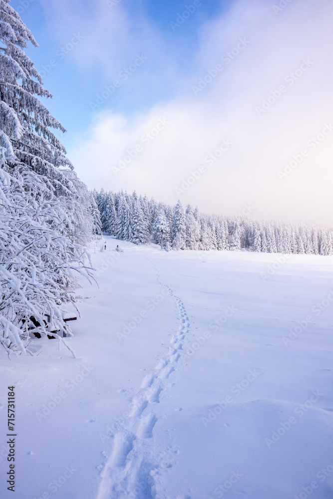 Langlaufrunde bei bestem Kaiserwetter im verschneiten Thüringer Wald bei Floh-Seligenthal - Thüringen - Deutschland