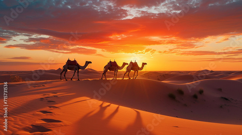 Camels walk on the desert under the sunset