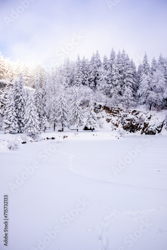 Langlaufrunde bei bestem Kaiserwetter im verschneiten Th  ringer Wald bei Floh-Seligenthal - Th  ringen - Deutschland