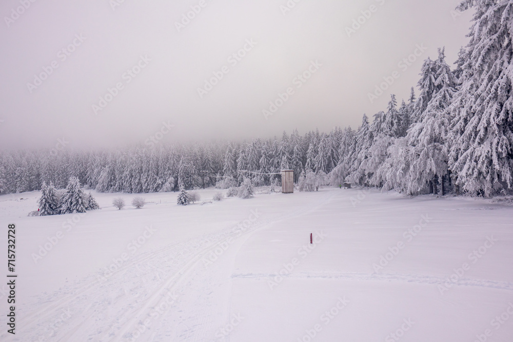 Fototapeta premium Langlaufrunde bei bestem Kaiserwetter im verschneiten Thüringer Wald bei Floh-Seligenthal - Thüringen - Deutschland
