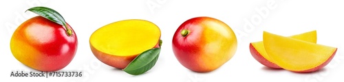 Obraz na płótnie Mango collection fruit with leaves
