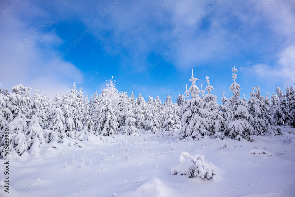 Langlaufrunde bei bestem Kaiserwetter im verschneiten Thüringer Wald bei Floh-Seligenthal - Thüringen - Deutschland Langlaufrunde bei bestem Kaiserwetter im verschneiten Thüringer Wald bei Floh-Seligenthal - Thüringen - Deutschland