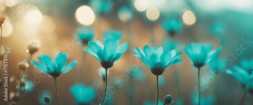 Blurred silhouettes of flowers toned in the turquoise color