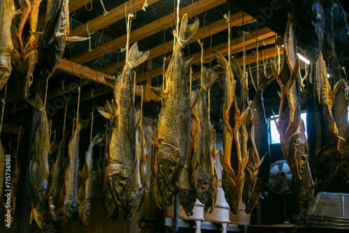 Traditional salted salmons hanging in the city of Murakami in Niigata Prefecture. photo