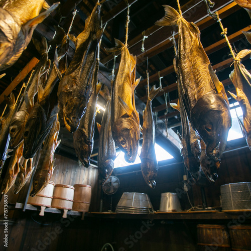 Traditional salted salmons hanging in the city of Murakami in Niigata Prefecture. photo