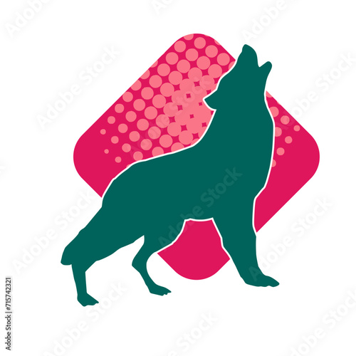 Silhouette of a wolf wild animal raising his head