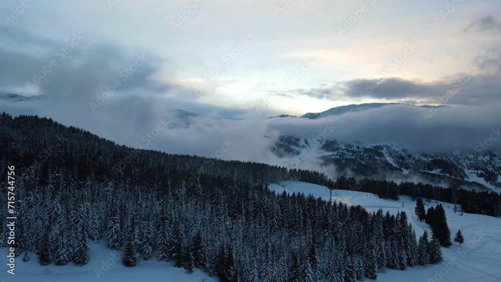 Plan de drone de la montagne et de la forêt enneigées 