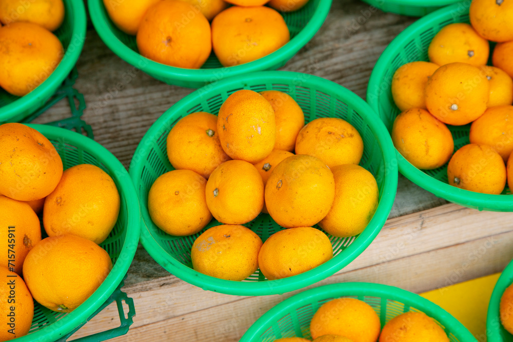 Mikan is a tangerine-like citrus fruit that is grown in warmer regions of Japan in large quantities.