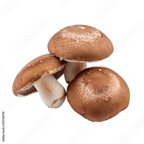 Brown cap champignons. Isolated on transparent background.