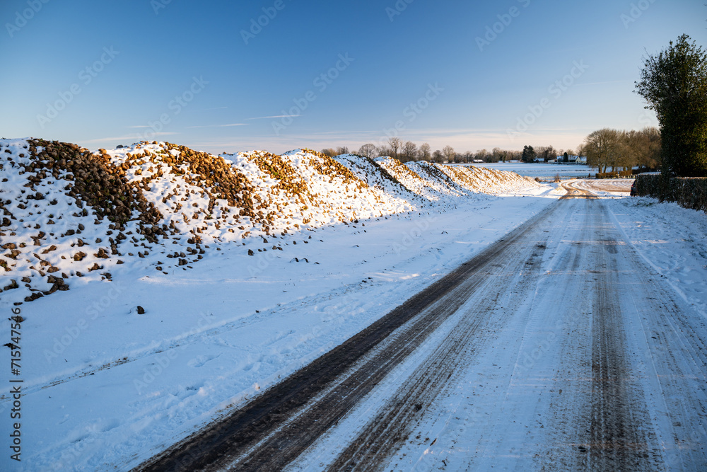 Silo de betterave entreposé au bord d'une route en attente d'enlèvement,  en hiver avec de la neige en raison de  condtions climatiques ayant  entrainé un retard lors de l'arrachage des betteraves