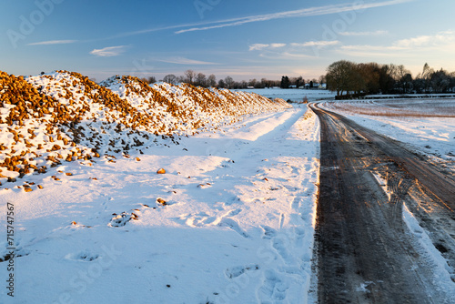 Silo de betterave entreposé au bord d'une route en attente d'enlèvement,  en hiver avec de la neige en raison de  condtions climatiques ayant  entrainé un retard lors de l'arrachage des betteraves photo