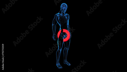 Abstract 3D illustration of the prostate