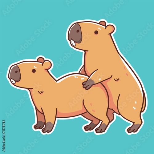 capybara mating vector illustration