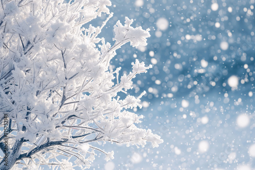 background of a snow covered tree in the winter © Stefan