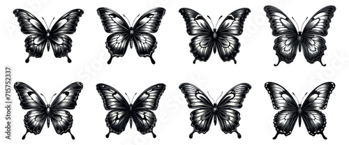 Butterfly vintage etching set. Retro drawing butterflies with open wings ancient sketch, etched moth animals black tattoos engraving on white