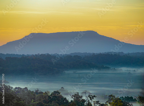 The stunning view from a tourist's standpoint as they go down a hill on a foggy trail with a hill and a background of a golden sky in Forest Park, Thailand. Rainforest. Bird's eye view. Aerial view.